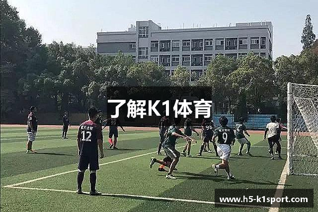 了解K1体育